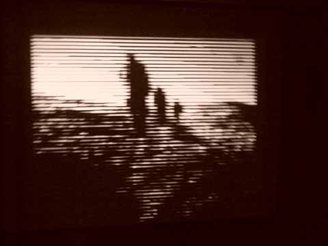 maleen & dr. nachstrom - visuals